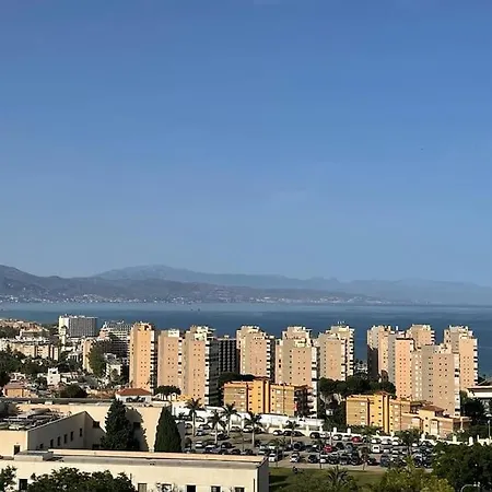 Gusano De Seda